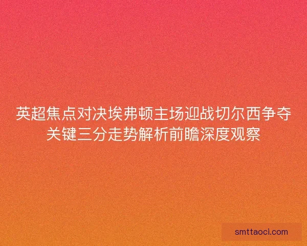 英超焦点对决埃弗顿主场迎战切尔西争夺关键三分走势解析前瞻深度观察