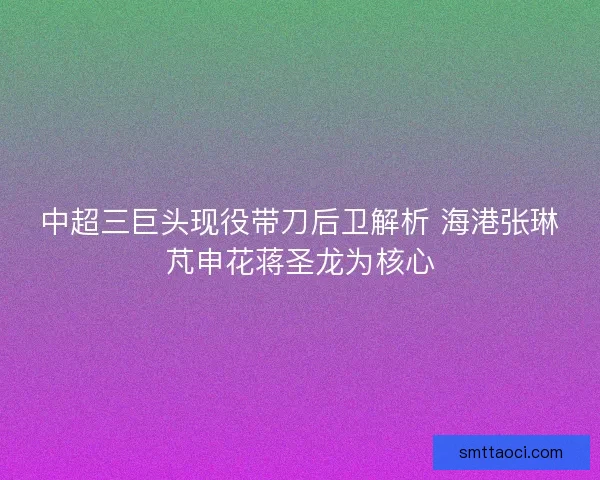 中超三巨头现役带刀后卫解析 海港张琳芃申花蒋圣龙为核心